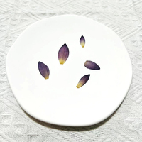 1000 pz/sacchetto Petali di Ninfea Pressati Fiori Essiccati per Collane Fai da Te, Orecchini e Accessori in Resina Epossidica