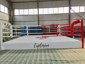 MMA ONEMAX buen precio logotipo personalizado profesional anillo <span class=keywords><strong>de</strong></span> <span class=keywords><strong>boxeo</strong></span> Mini <span class=keywords><strong>4x4</strong></span> profesional Kick Boxing <span class=keywords><strong>Ring</strong></span> - Product Image 5