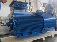 YVFE2 Moteur électrique à induction triphasé AC haute efficacité 250M avec conversion de fréquence 50Hz