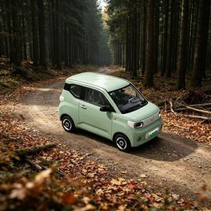 Mini EV Yuantong EV3 L7e Omologato per la Circolazione Stradale con Layout di Controllo Semplificato, Cruscotto Semplice, Ricarica Rapida, Auto Autonoma per Montagna - Product Image 1