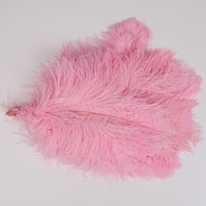 Bán buôn 16-18 inch đà điểu lông màu sắc tươi sáng nhuộm cho hàng thủ công Đảng & lễ hội trang trí đám cưới - Product Image 3