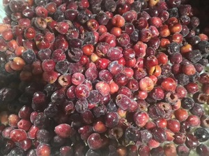Sinocharm-cereza roja, cerezas ácidas, picadas, aprobado por IQF, BRC A - Product Image 6