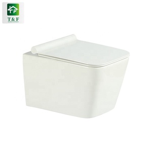 <span class=keywords><strong>De</strong></span> doble descarga botón para salvar <span class=keywords><strong>de</strong></span> inodoro <span class=keywords><strong>de</strong></span> cerámica sifón Flushing solo dos 2 piezas lavado aseo - Product Image 1