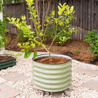 Lit de jardin surélevé galvanisé avec roues Boîte à fleurs surélevée pour l'extérieur Lits à fleurs en métal auto-arrosés pour patio Herbes végétales