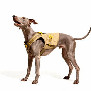 Luxus Designer verstellbare Nylon Outdoor Haustier Weste Heavy Duty Original Tactical Cooling Training Jagd Haustier Halsband Hunde geschirr - Product Image 3