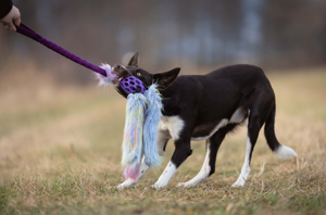 Juguete de Peluche para Perro, Ecológico, de Pelo Sintético, Interactivo, para Jugar al Aire Libre, de Alta Calidad, para Masticar - Product Image 4