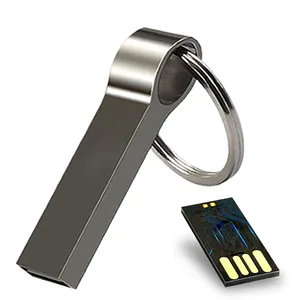 Usb 2.0 Metal Flash Drive, gantungan kunci Flash Drive Usb kustom 8GB 4GB 2GB 1GB dengan Logo