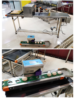 Imprimante à tamponner les œufs électrique à haute efficacité, machine d'impression à jet d'encre pour œufs, codeur de lot à séchage rapide, date d'expiration des œufs