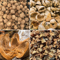 Machine à couper les copeaux de noix de coco, déchiqueteuse de coquilles de noix de coco