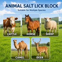 Chlorure de sodium de qualité alimentaire, complément alimentaire pour animaux, pureté 96 %, sûr pour le bétail, les moutons, les buffles, les cerfs, minéraux et digestion