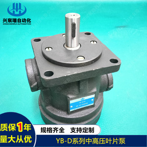 Xingchenrui Yb D Series Medium High Pressure Vane <b>Pump</b> Ybd20 Ybd25 Ybd32 Ybd31.5 Ybd40 For Test <b>Pump</b> - Product Image 4