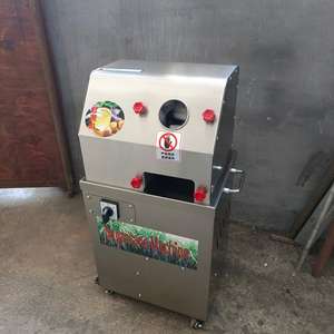 Extractor de Jugo de Caña de Azúcar Eléctrico Comercial de Bajo Precio con Motor de Acero Inoxidable de 450W de Alta Potencia - Product Image 1