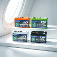 Pack de batteries LiFePO4 12V, plusieurs couleurs de coque au choix, rechargeable, cycle profond, pour le camping et les situations d'urgence