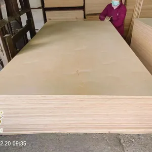 18mm E0 Furniture Board Customized Poplar Birch Pine Dark Oak Plywood Timber Natural Plywood