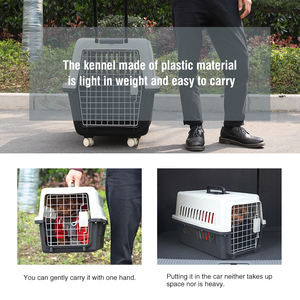 नई डिजाइन एयरलाइन ने लक्जरी पालतू क्रेट एयर बॉक्स कस्टम थोक प्लास्टिक कुत्ते पिंजरे के पिंजरे के लिए विमान वाहक को मंजूरी दी - Product Image 6