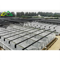 Polyfolie PE Multi-Span Gezaagd Kaszonweringssysteem voor grootschalige commerciële teelt van groenten en bessen, eenvoudig in gebruik