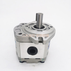 Bomba de Engranajes Hidráulica de Hierro Fundido Hefei Changyuan CBW-F304-ALP de 250 Bares y 1 Etapa con Accionamiento Eléctrico - Product Image 1