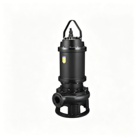 Pompe submersible à grande puissance personnalisée, plus de 7,5 kW, pompe à eaux usées industrielle WQ(D) pour le drainage municipal et agricole