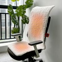 Coussin chauffant pour siège de bureau en polaire polaire, alimenté par USB, pour soulager les douleurs dorsales