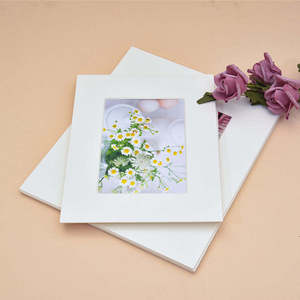 Bán hàng nóng tường trang trí nội thất 27x35cm hình ảnh màu trắng Thảm hình ảnh khung mat - Product Image 3