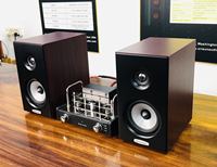 Tüp amplifikatör sınıf A Hifi ses amplifikatörü yüksek güç 10w ev sineması mavi diş 5.0 High End ev Amp