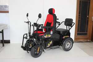 <span class=keywords><strong>Fauteuil</strong></span> roulant électrique cross-country à double siège 1000W avec jambe de levage électrique pour personnes handicapées - Product Image 4