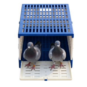 Cage de transport pliable pour oiseaux, portable, pour la course et l'élevage - Product Image 6