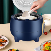 Mini Cuiseur à Riz Électrique Faible en Glucides 18L 110V/220V Source Usine