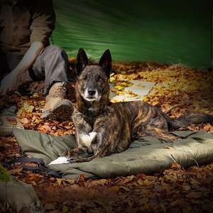 하이 퀄리티 야외 캠핑 휴대용 방수 습기 방지 따뜻한 두꺼운 접이식 물기 방지 자동차 홈 고양이 개 매트 - Product Image 1