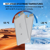 Batterie Lipo CALH Batterie polymère au lithium rechargeable 3.6v 28000mAh Batterie Lipo Batteries à l'état solide pour drone