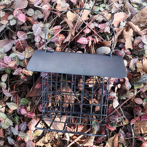 Mangeoire à oiseaux en métal sauvage à l'épreuve de la suspension en métal pour jardin extérieur avec tube en plastique - Product Image 5