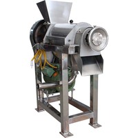Fruit-En Groenteverwerkingsmachines Appelwortelperensap Machine