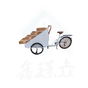 3 바퀴 패스트 푸드 트럭 자전거 모바일 푸드 카트/커피 자동 판매기 자전거 판매 빵