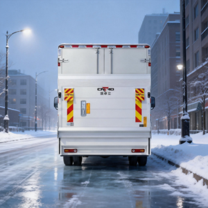 Plateforme élévatrice hydraulique à colonne pour fourgonnettes et camions, capacité 1000 kg et moins - Product Image 1