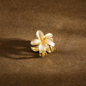 Pince à cheveux en métal personnalisée de différentes tailles, ensemble de pinces à cheveux brillantes noires, pince à cheveux coréenne de luxe personnalisée - Product Image 5