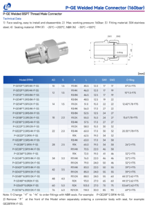RVS 304 buisfittingen, <span class=keywords><strong>union</strong></span>, metrisch/inch schroefdraad, richting verstelbaar, thermometer eigenschappen, lasmethode, hydraulisch - Product Image 4