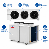 Kit d'échange thermique Fluorine Defrost 15HP avec moteur à rotor externe DT et tambour à air RP, ensemble condenseur-évaporateur pour chambre froide