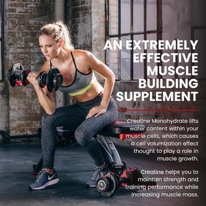 OEM Private Label Créatine Gummies Créatine Monohydrate avec <span class=keywords><strong>BCAA</strong></span> Par Portion pour Hommes et Femmes, Vegan et Sans Sucre - Product Image 5