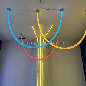Tube néon <span class=keywords><strong>LED</strong></span> souple en silicone 50 mm de diamètre, 360 <span class=keywords><strong>LED</strong></span>, <span class=keywords><strong>12</strong></span> <span class=keywords><strong>volts</strong></span>, éclairage flexible en bande néon <span class=keywords><strong>LED</strong></span> Rgbic - Product Image 3