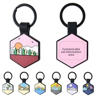 Nouvelle Plaque d'identification pour animaux de compagnie transfrontalière anti-perte, gravure laser double face, en silicone hexagonal, motif graffiti, toutes tailles