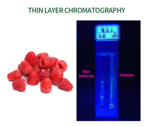 Keton <span class=keywords><strong>Fructus</strong></span> <span class=keywords><strong>Rubi</strong></span> grosir ekstrak pembekuan-kering instan organik 100% bubuk buah Raspberry - Product Image 4