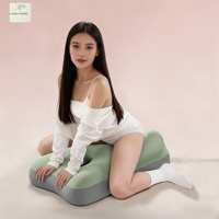 Fournisseur en gros de coussins compensés, coussin de soutien dorsal en mousse à mémoire de forme avec logo personnalisé pour les acheteurs en gros (hôtels et détaillants)