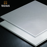 Venta al por mayor de aluminio personalizado de absorción de sonido Lay-In Clip-In 2x4 paneles de techo 4x8 azulejos de techo