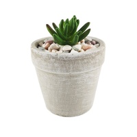 Vase à fleurs rond en ciment, pot pour plantes, cactus, succulent, vente en gros