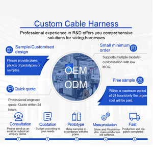 Высококачественный заводской кабельный жгут для дополнительного стоп-сигнала E00252, автомобильный кабельный узел, водонепроницаемый IP66, 12В - Product Image 5