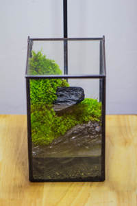 Étanche Fermer Géométrique Verre Étain Terrarium Ventouse Étang Maison <span class=keywords><strong>Jardin</strong></span> Mur Utilisation Kit <span class=keywords><strong>Mousse</strong></span> D'eau Paysage Plante Décoration - Product Image 2