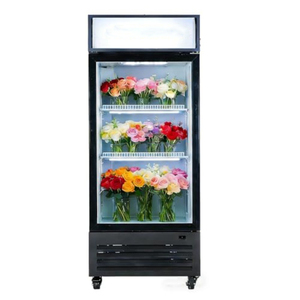 Refrigerador Vertical de Una Puerta para Exhibición de Flores, Equipo Comercial de Refrigeración para Conservación de Flores Frescas - Product Image 1