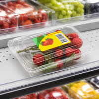Contenitori Trasparenti in Plastica per Frutta, Scatole Usa e Getta per Fragole, Confezioni a Conchiglia per Frutta e Agricoltura