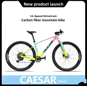 Bicicletta <span class=keywords><strong>in</strong></span> Carbonio FLM CAESAR 29er MTB a 11 Velocità con Freni Idraulici e Forcella Rigida OEM - Product Image 2