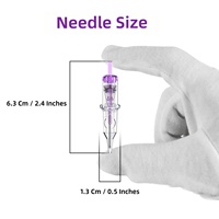 Aiguille de tatouage DQFART, cartouche violette pour maquillage permanent, aiguille à sourcils 0,35 mm, modèle TN-03-10, sans alimentation électrique requise, lot de 10